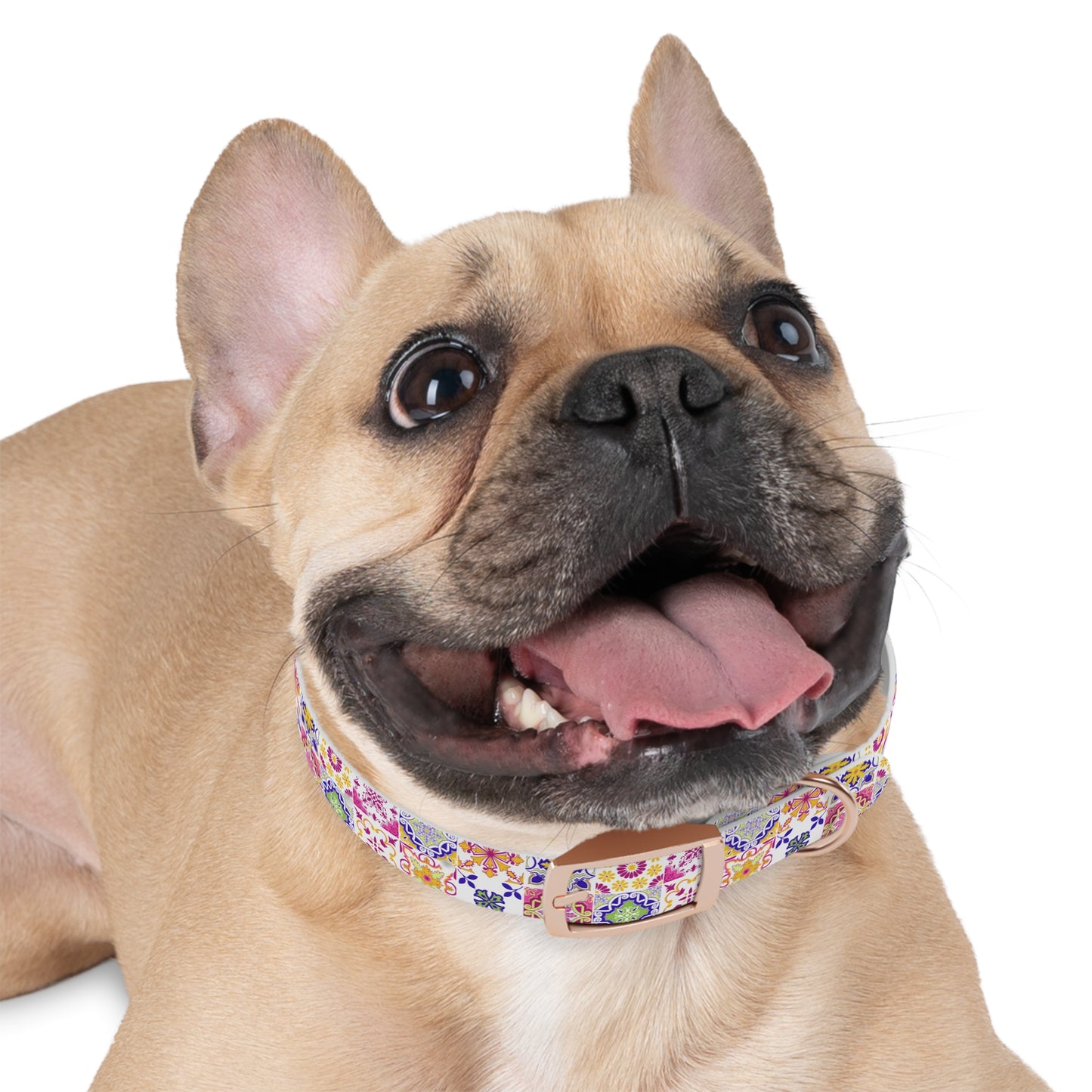 Tiled Dog Collar