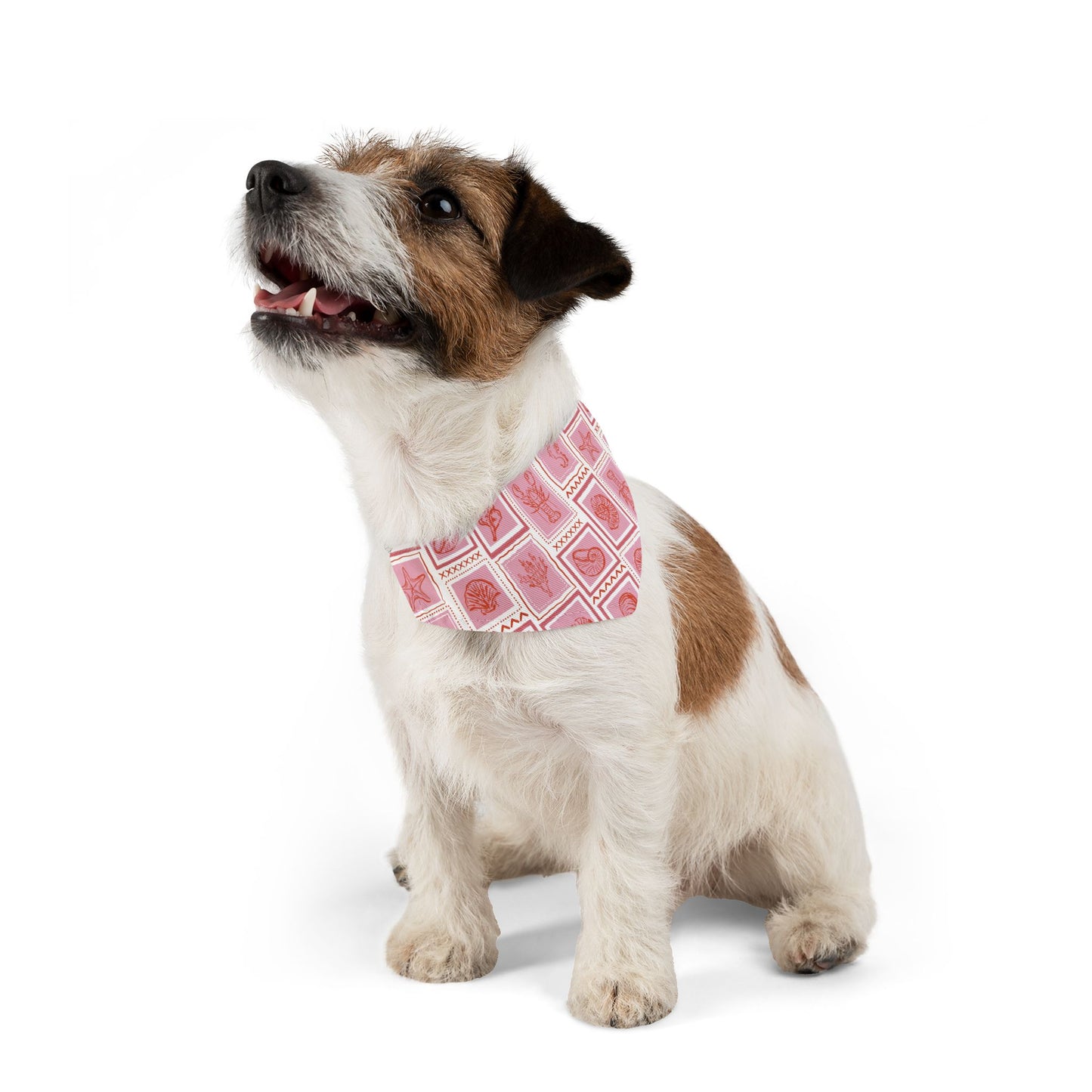 Marine Life Pet Bandana Collar