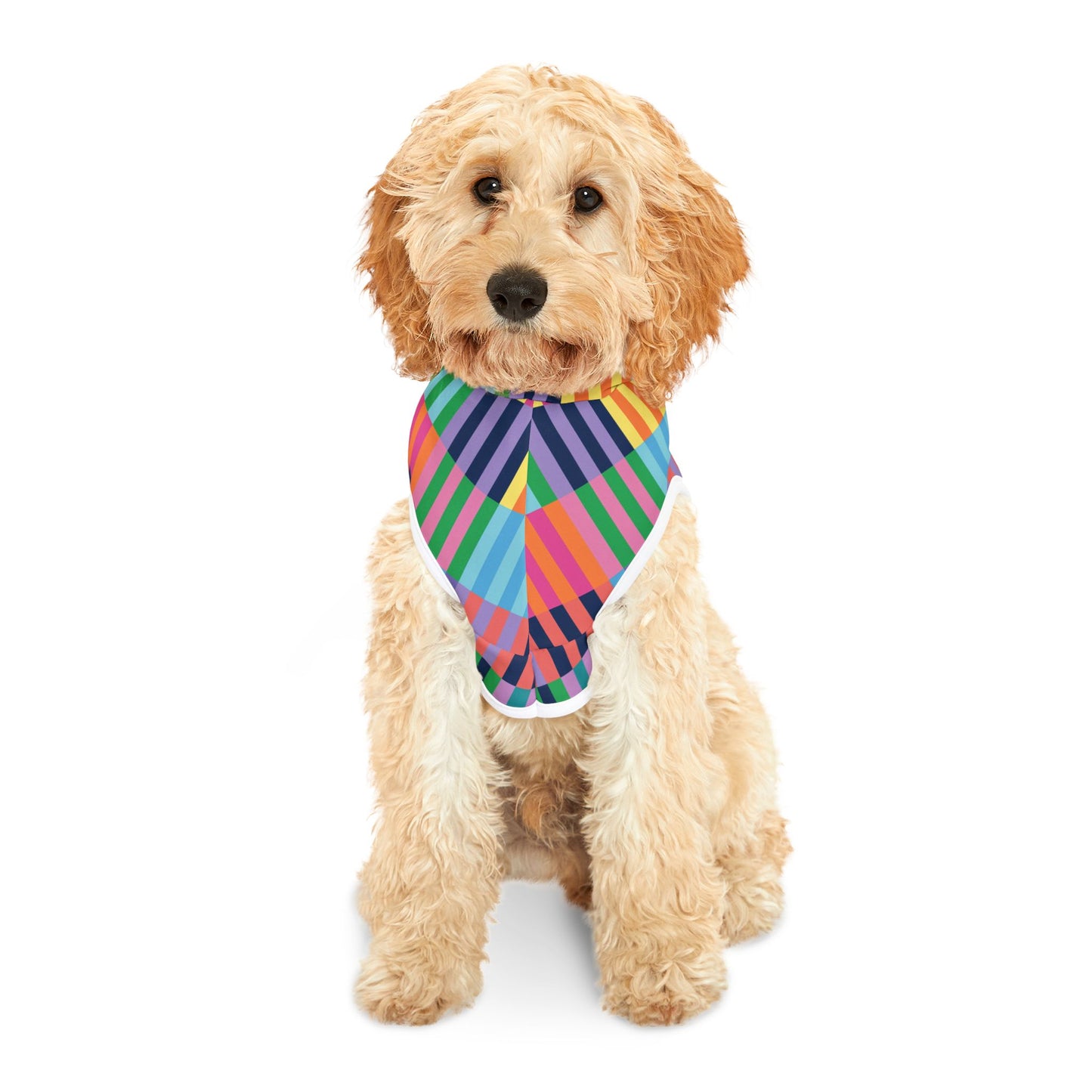 Color Blocks Pet Hoodie