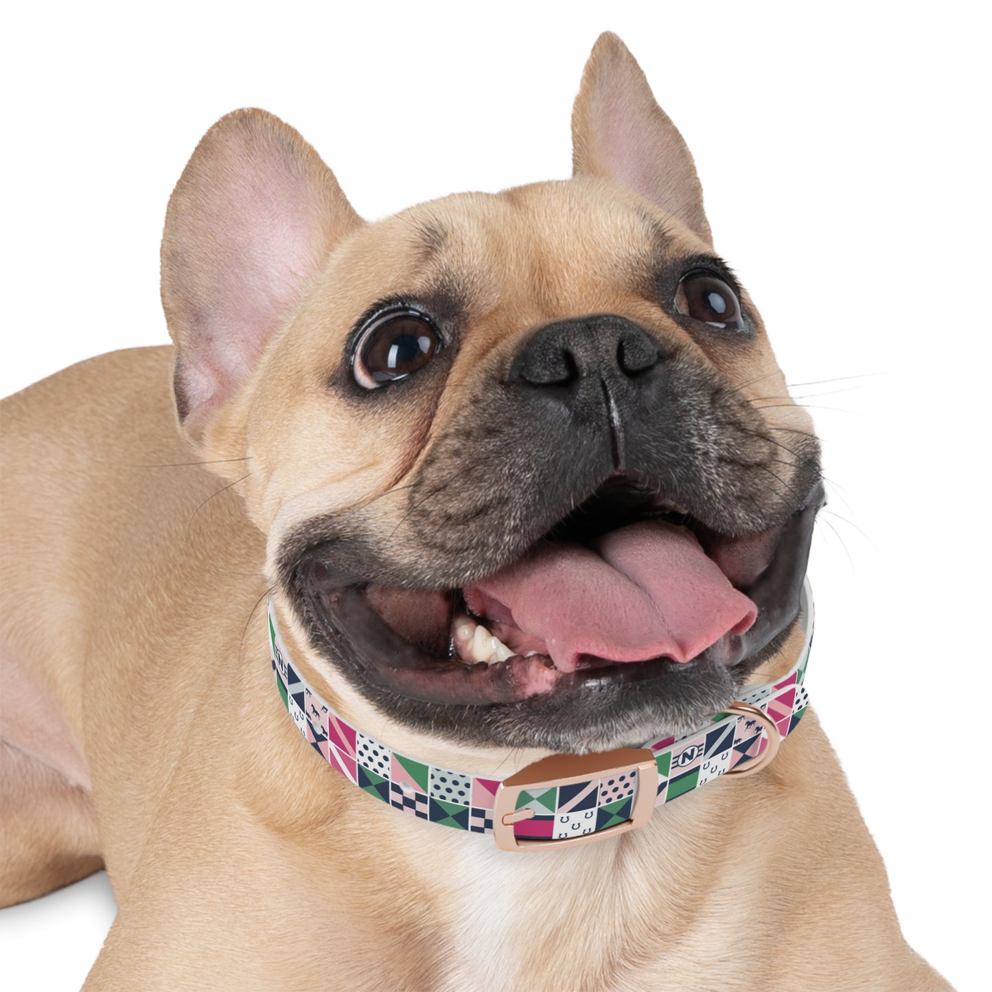 Equestrian Patchwork Dog Collar
