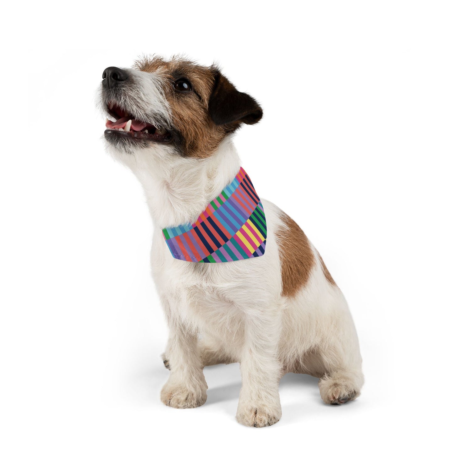Color Blocks Pet Bandana Collar