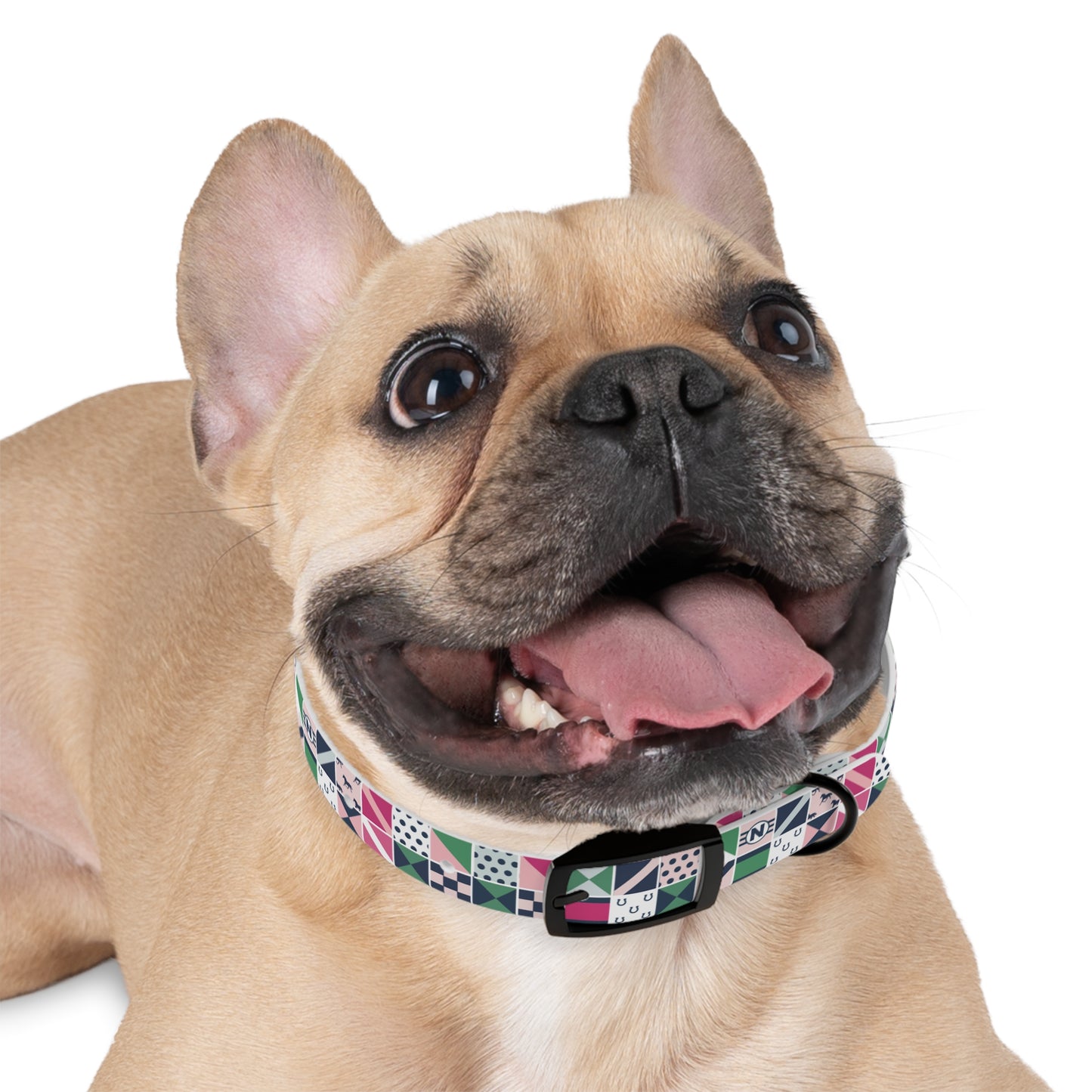 Equestrian Patchwork Dog Collar