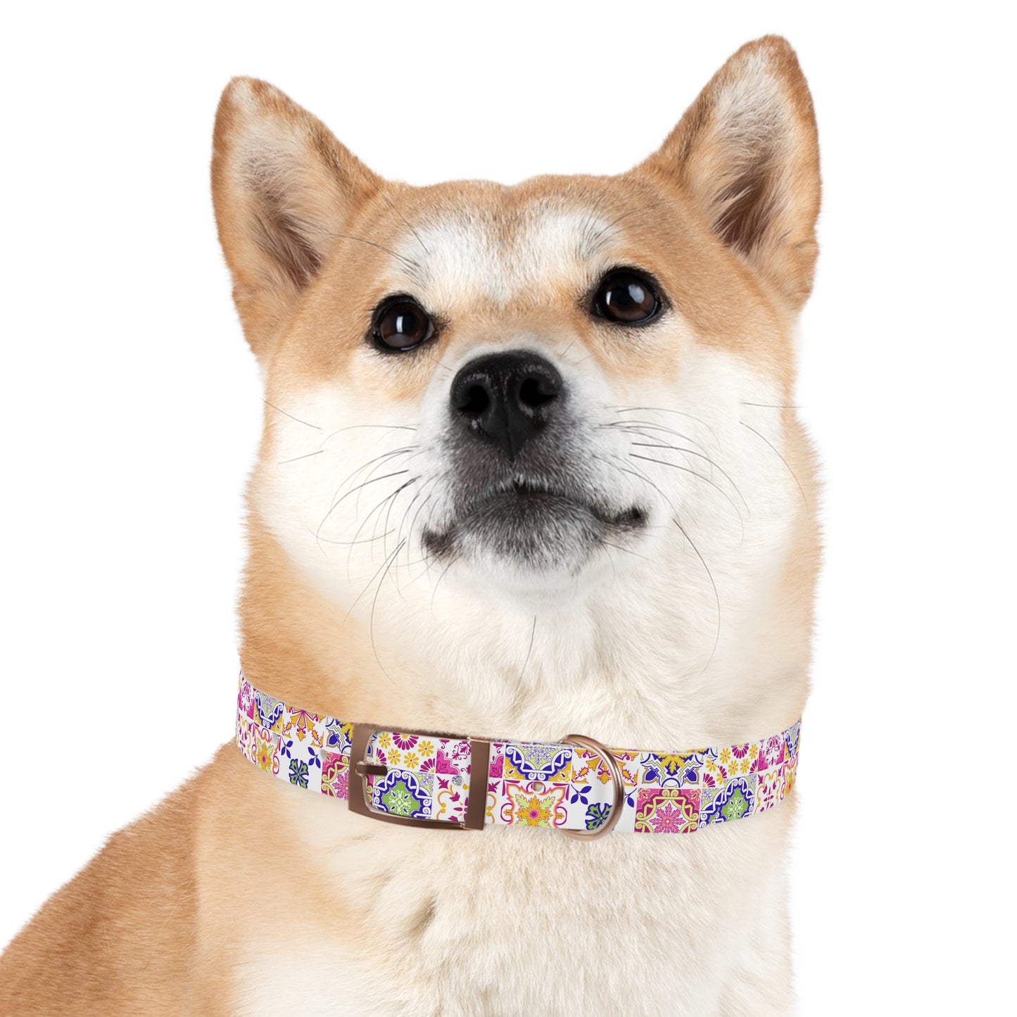 Tiled Dog Collar