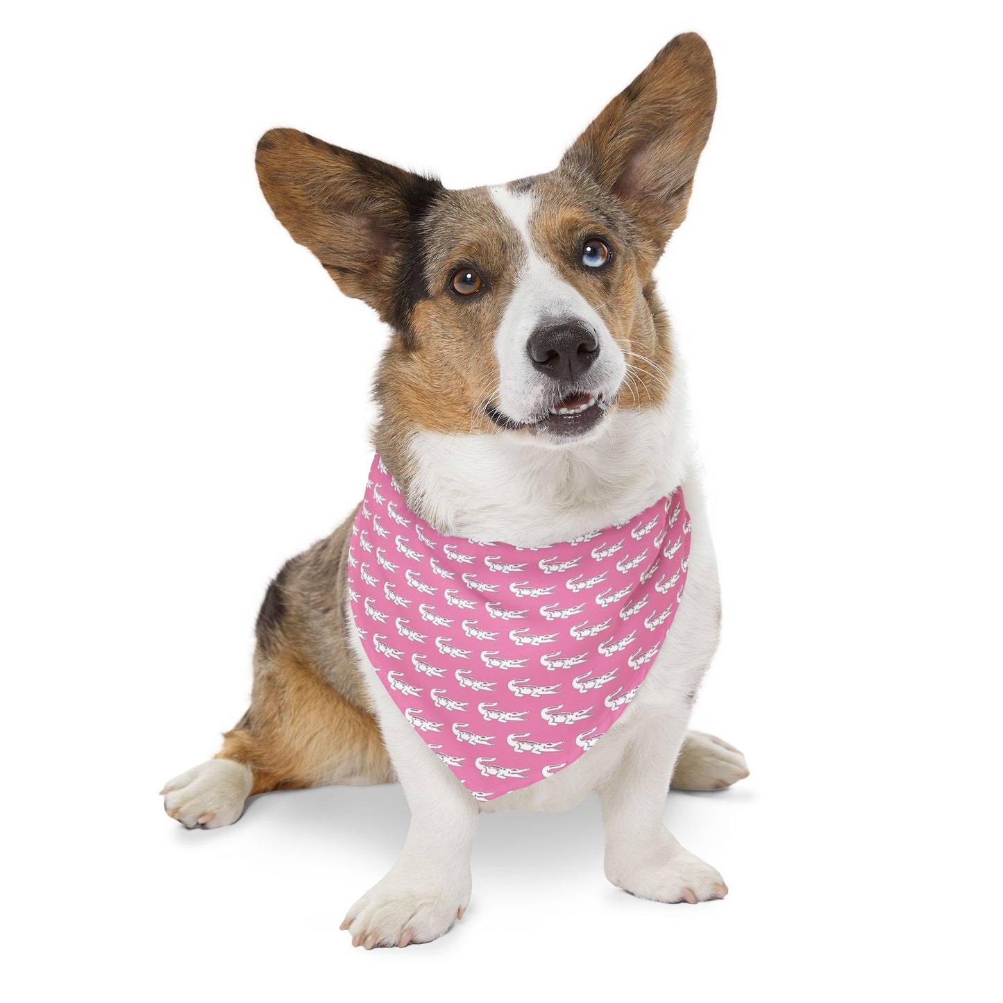 Pink Gators Pet Bandana Collar