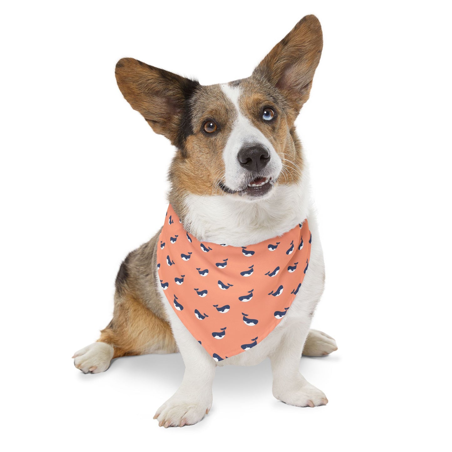 Whimsical Whales Pet Bandana Collar