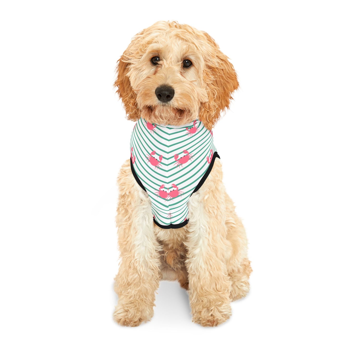 Cute Crabs Pet Hoodie