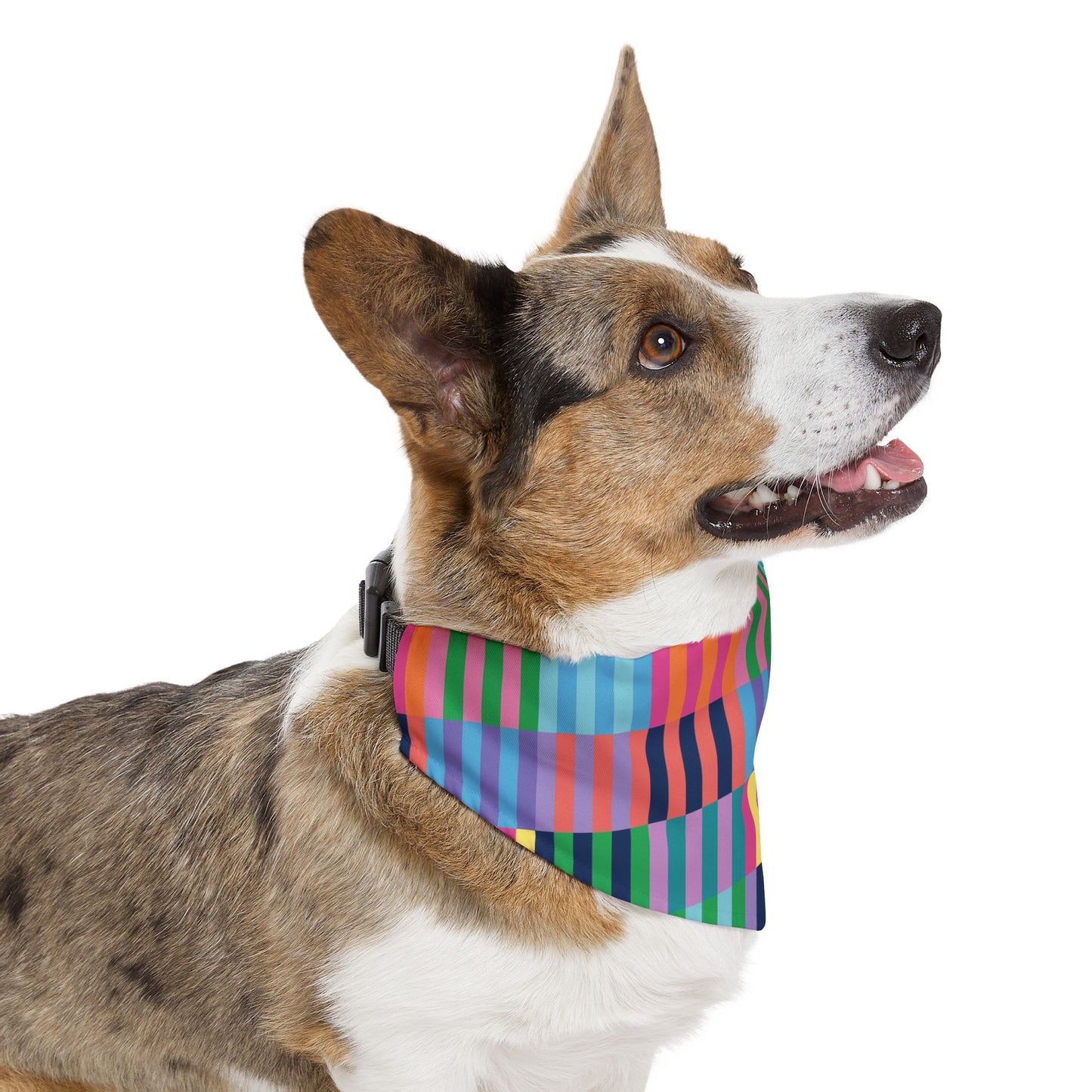 Color Blocks Pet Bandana Collar
