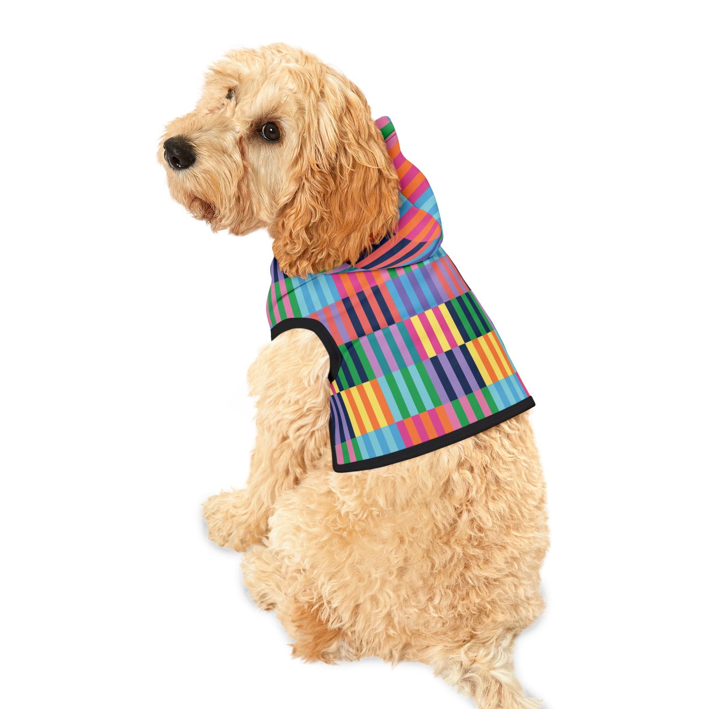 Color Blocks Pet Hoodie