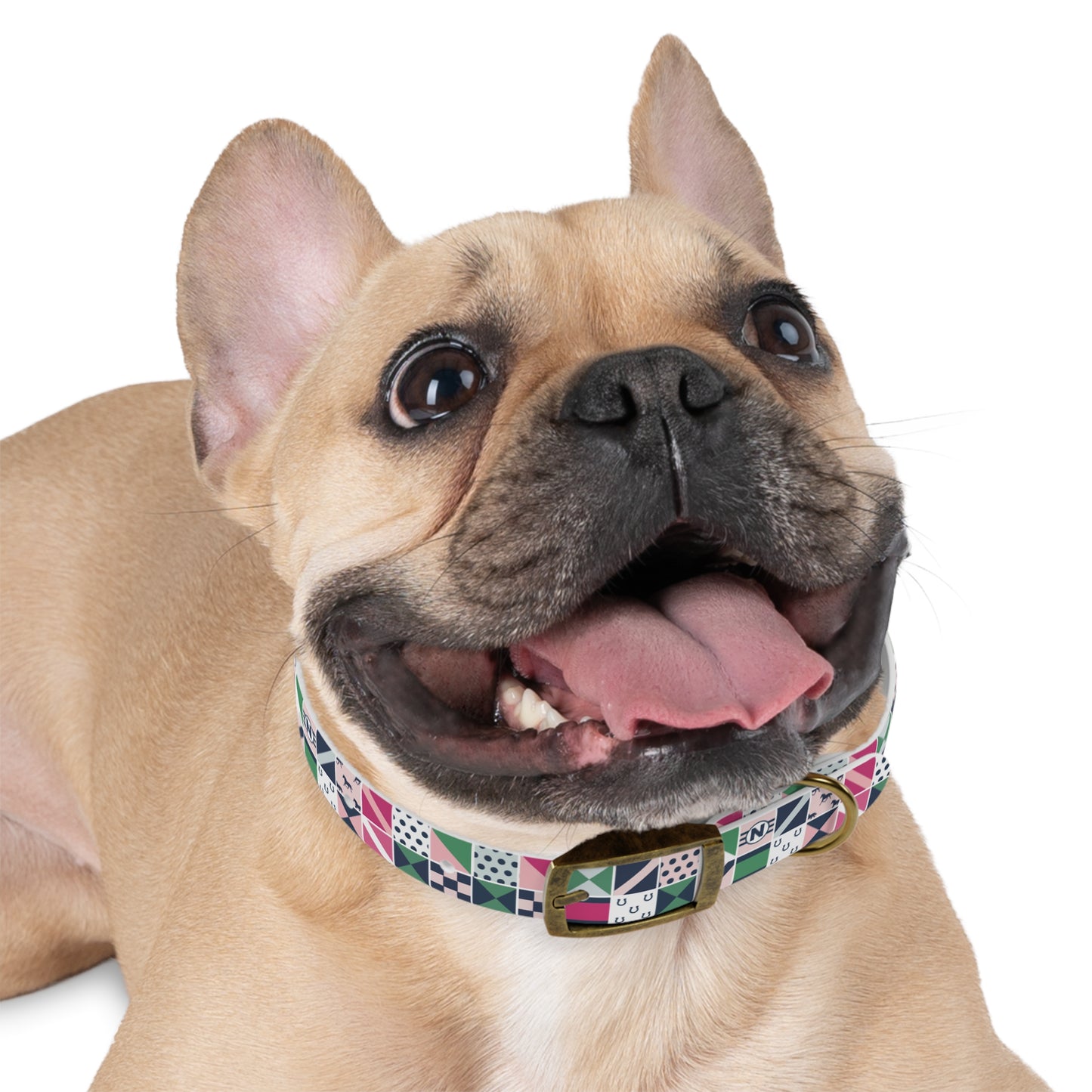 Equestrian Patchwork Dog Collar