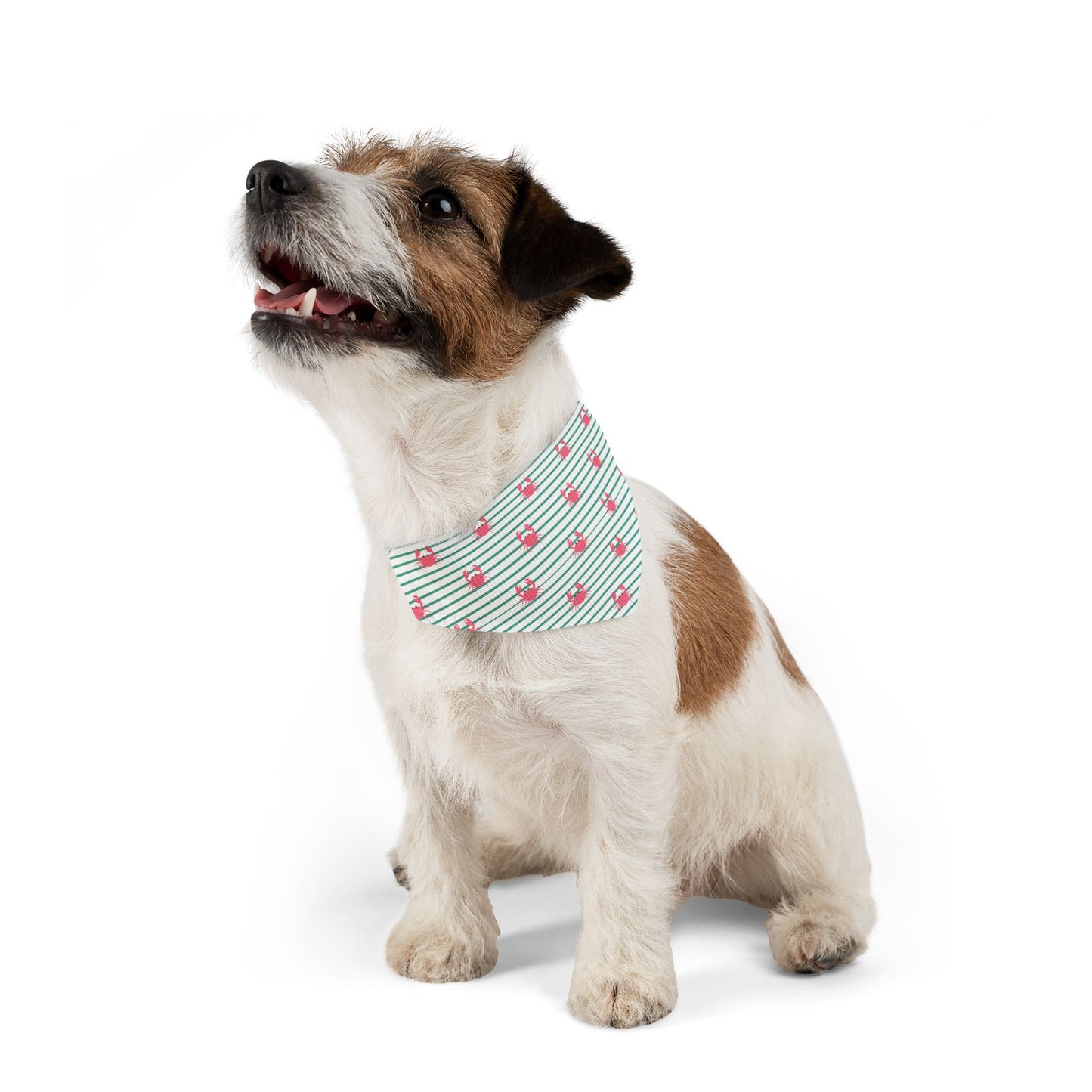 Cute Crabs Pet Bandana Collar