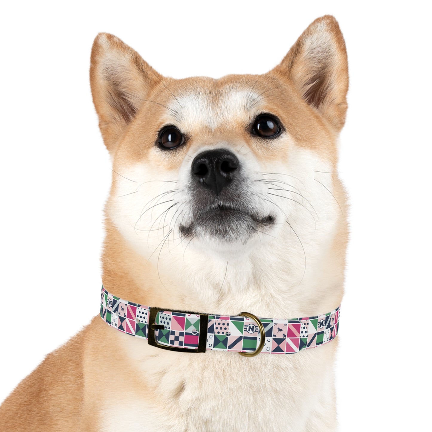 Equestrian Patchwork Dog Collar