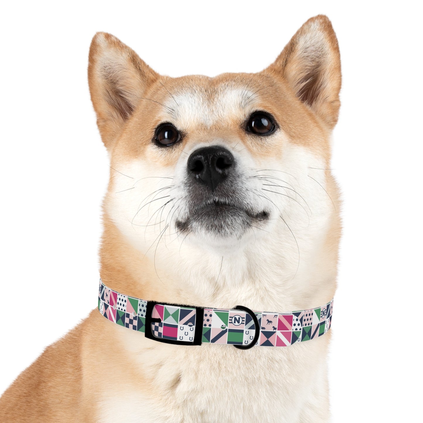 Equestrian Patchwork Dog Collar