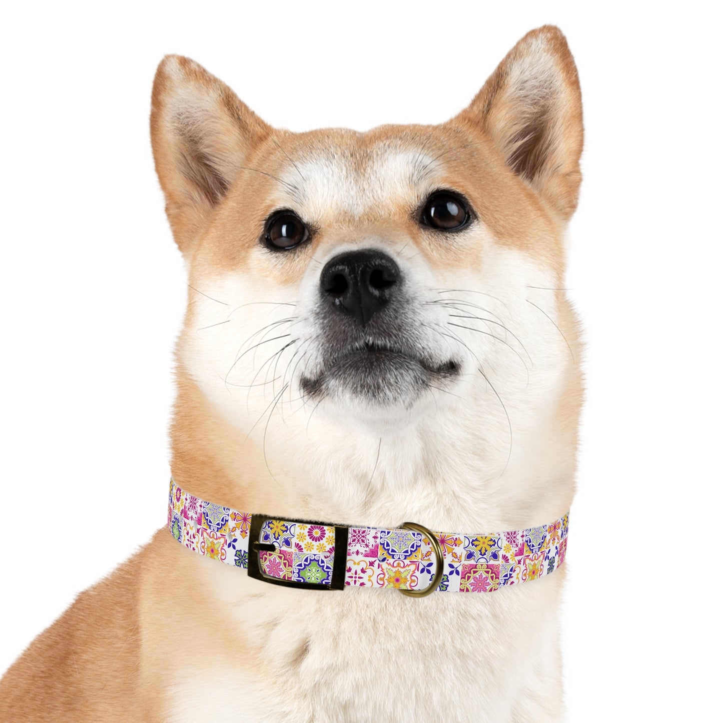 Tiled Dog Collar